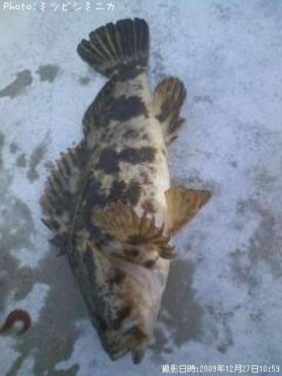 �����Υ���Х�