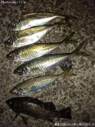 ��������Х�