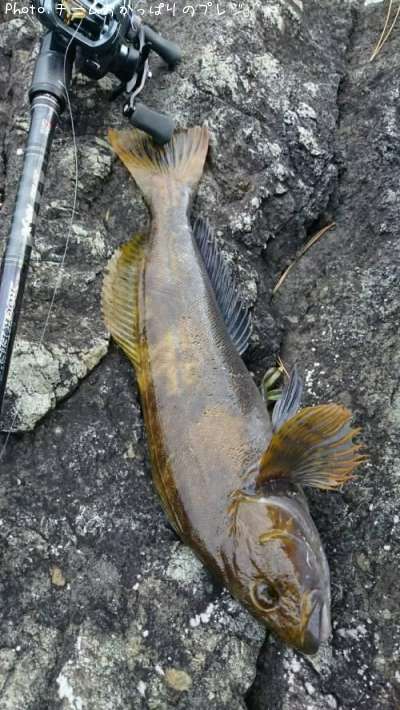 �����ʥ�