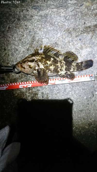 �����Υ���Х�