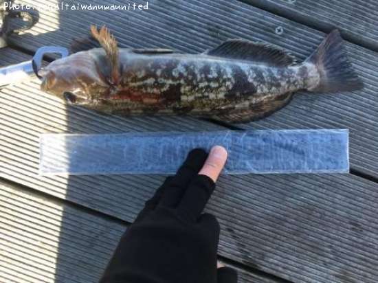 �����ʥ�