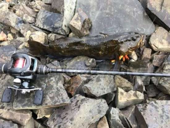 �����ʥ�