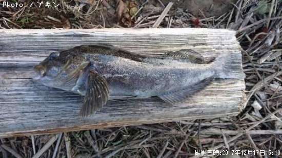 �����ʥ�