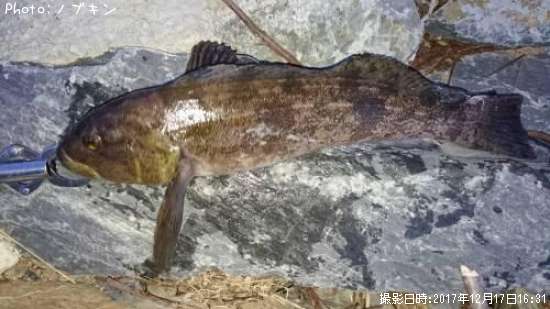 �����ʥ�