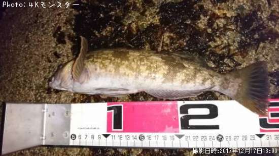 �����ʥ�