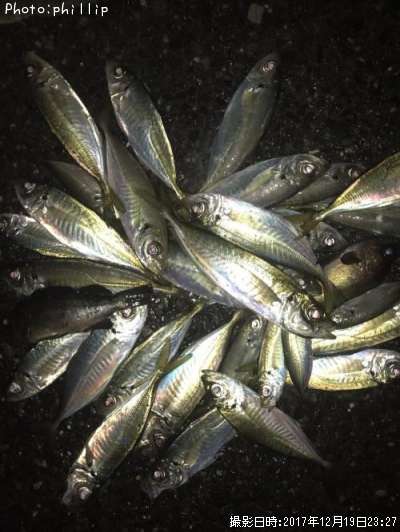 ��������Х�