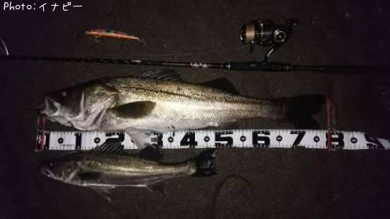 �����Х�