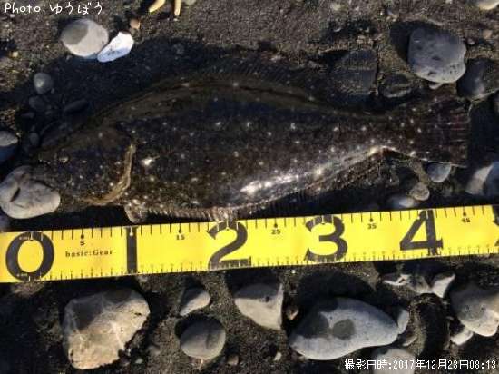 �ҥ��