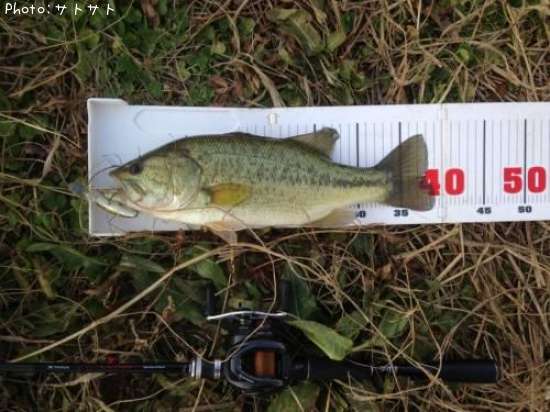 �֥�å��Х�