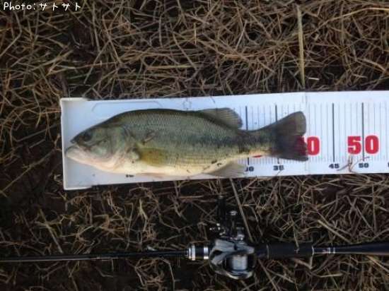 �֥�å��Х�