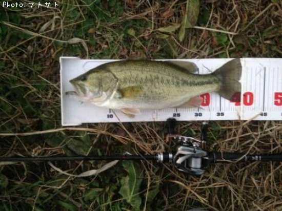 �֥�å��Х�