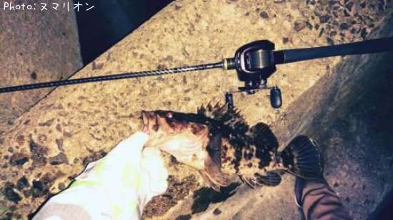 �٥å�������