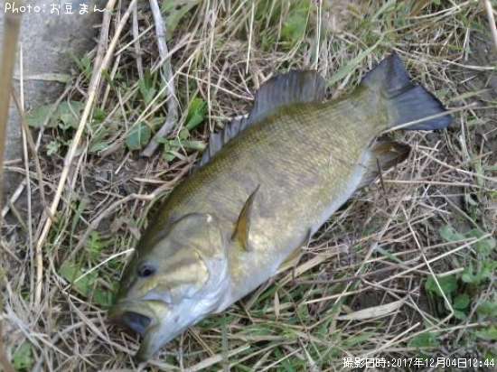 ���⡼��ޥ���