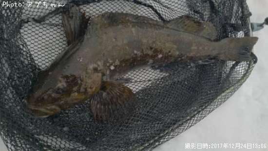 �����ʥ�