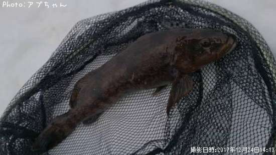 �����ʥ�