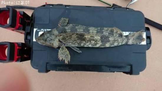 �����ʥ�