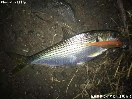 ���Υ���