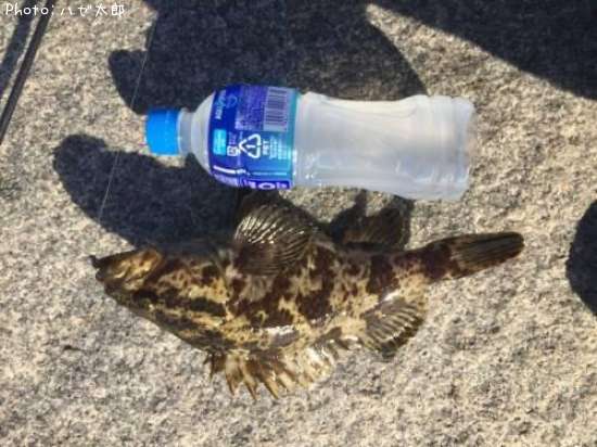 �����Υ���Х�