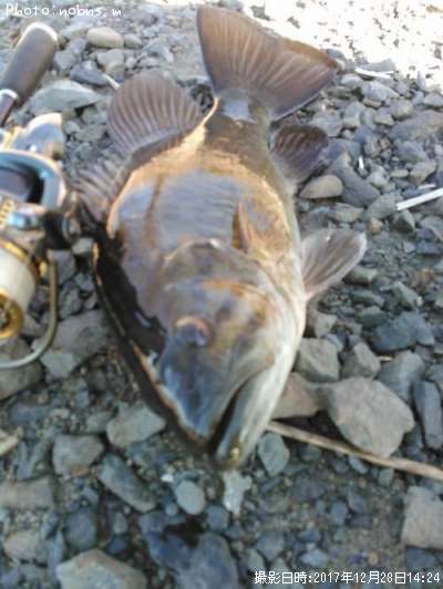 �֥�å��Х�