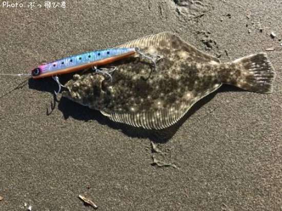 �ҥ��ʥ�����