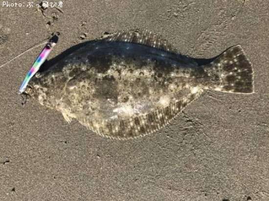 �ҥ��ʥ�����