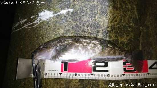 �����ʥ�