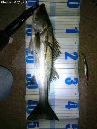 �����Х�