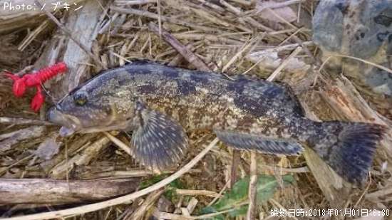 �����ʥ�