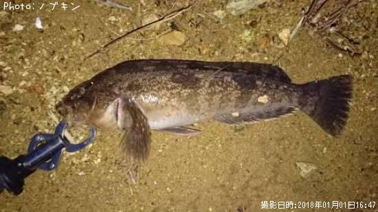 �����ʥ�