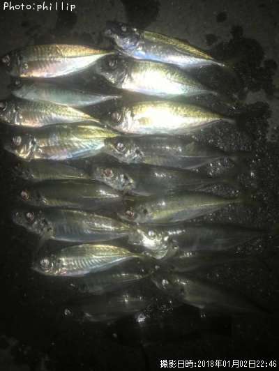 ��������Х롢������