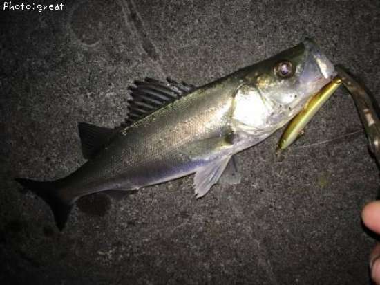 �����Х�