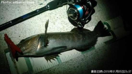 �����ʥ�