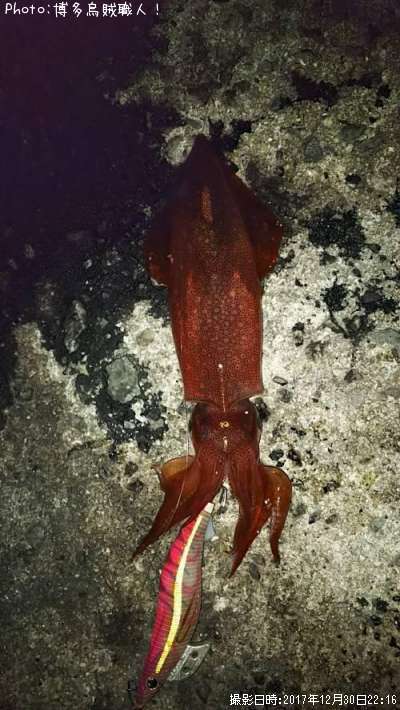 ���󥵥�����