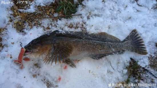 �����ʥ�