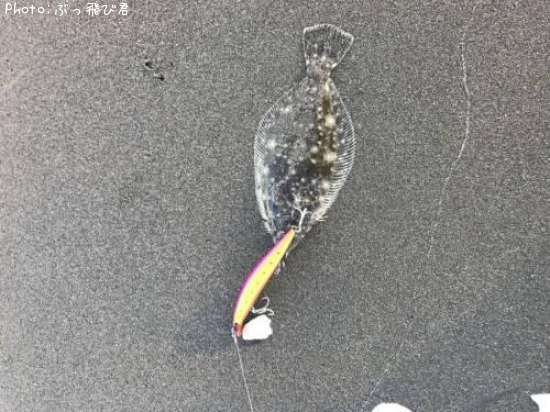 �ҥ��ʥ�����