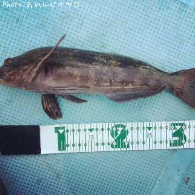 �����ʥ�