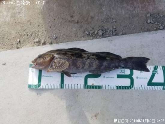 �����ʥ�