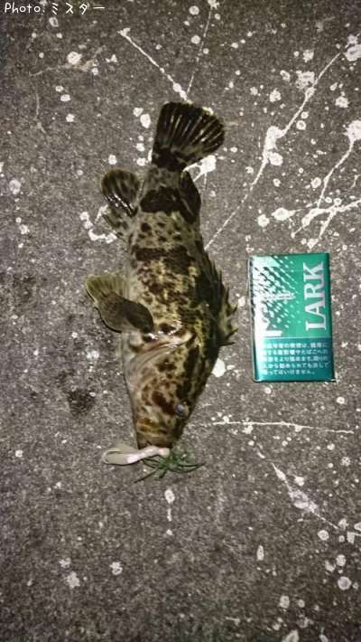 �����Υ���Х�