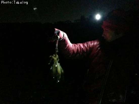 �����ꥤ��