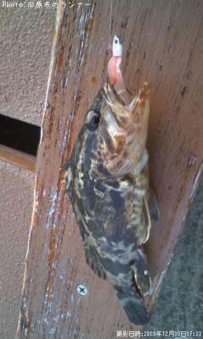 �����Υ���Х�