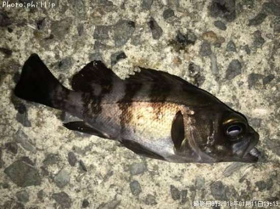 ��Х롢����