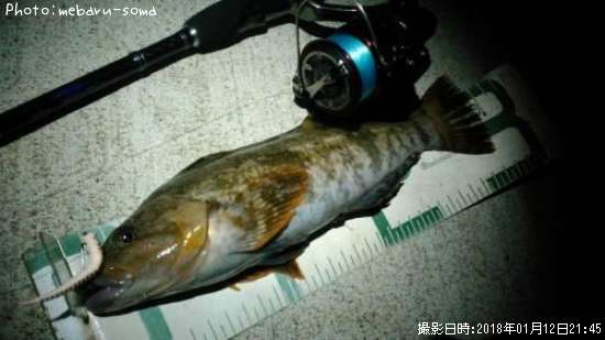 �����ʥ�