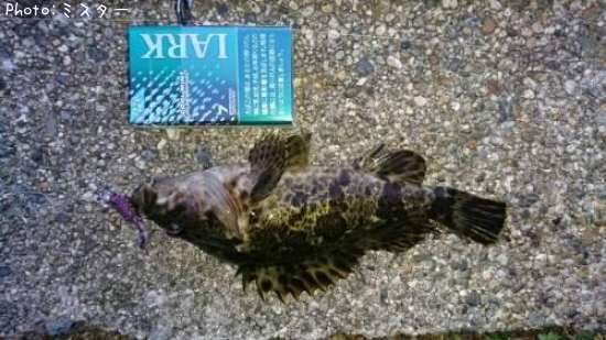 �����Υ���Х�