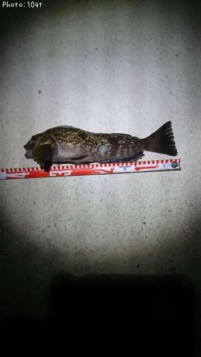 �����ʥ�