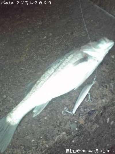 �����Х�