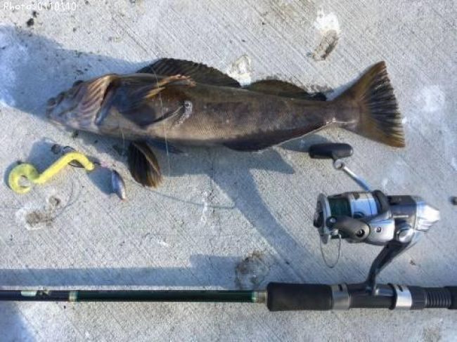 �����ʥ�