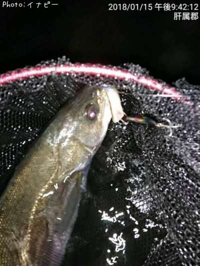 �����Х�