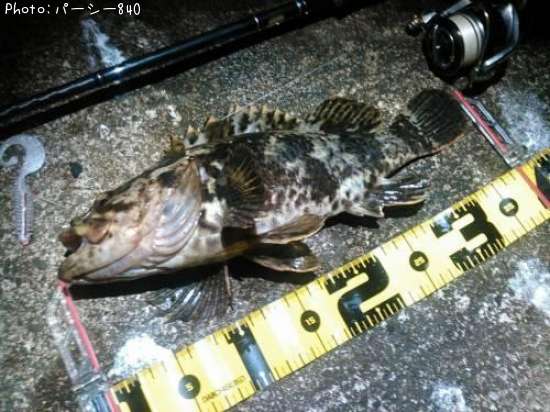 �����Υ���Х�