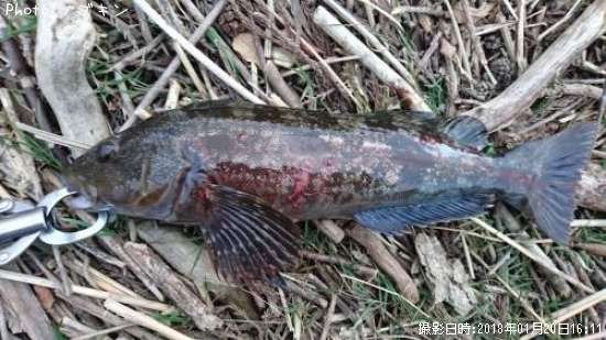 �����ʥ�