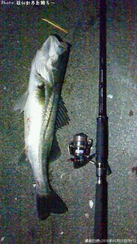 �����Х�